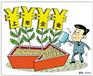 上海公司如何进行验资