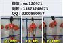 10吨10米20米电葫芦价格群吊电动葫芦厂家