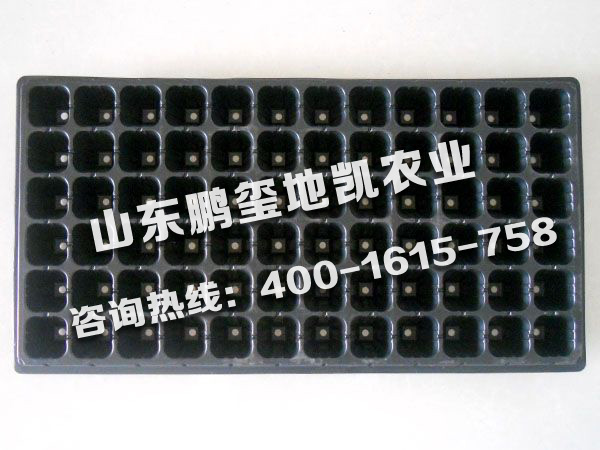 育苗盘生产厂家