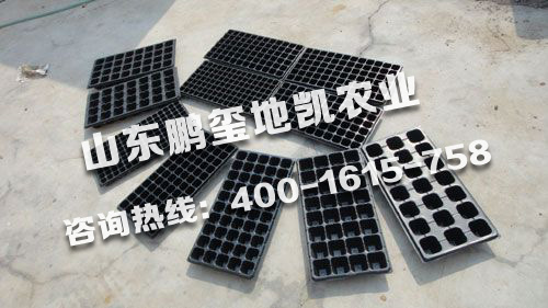 育苗盘批发价格