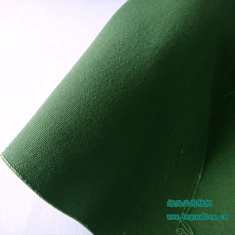 阻燃100%涤纶帆布 永久阻燃防火防燃功能性面料  永久阻燃面料  阻燃帆布  阻燃风管布