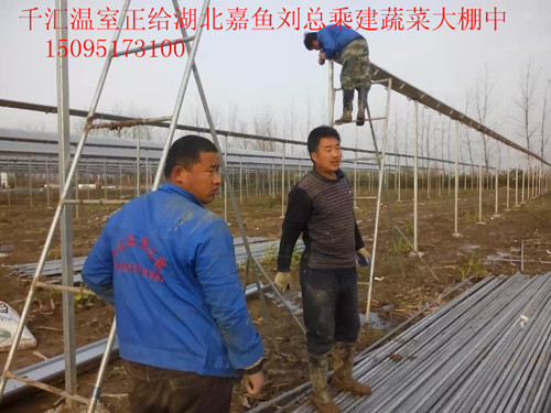 千汇温室供应良好的薄膜温室大棚建造-蔬菜&nbsp;&nbsp;薄膜温室大棚设计