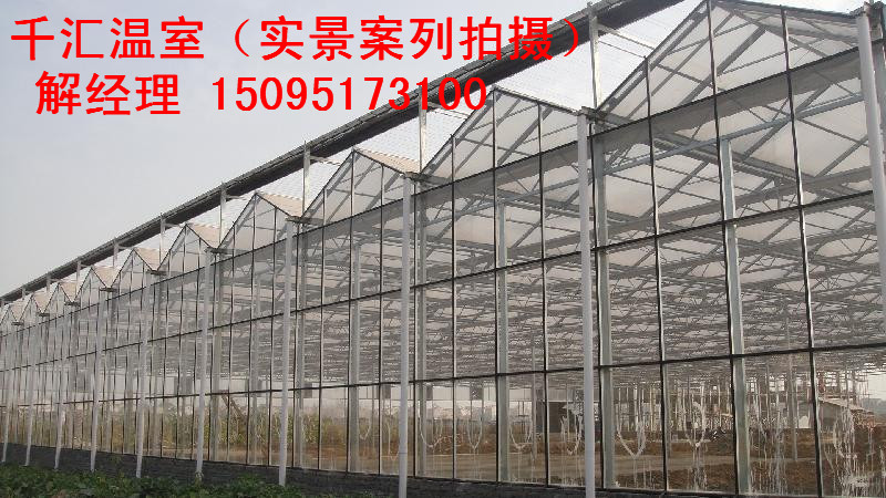 玻璃温室大棚哪家好_潍坊提供专业的玻璃温&nbsp;&nbsp;玻璃温室大棚建造&nbsp;&nbsp;玻璃温室大棚建设&nbsp;&nbsp;玻璃温室大棚价格