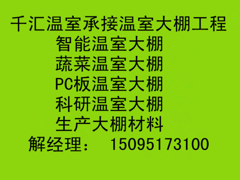 优质的玻璃温室大棚建造山东提供  |蔬菜&nbsp;&nbsp;玻璃温室大棚建设&nbsp;&nbsp;玻璃温室大棚价格