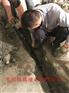 建昌地下通道堵漏【解决渗漏水--注浆堵漏】
