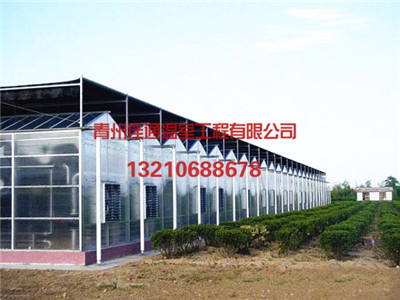 连栋智能温室建设优选鑫利丰温室科技-优质&nbsp;&nbsp;连栋智能温室建造&nbsp;&nbsp;山东连栋智能温室建设