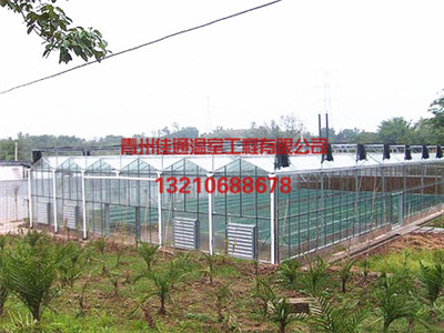 阳光板大棚建设包您满意，阳光板大棚工程&nbsp;&nbsp;阳光板大棚建造