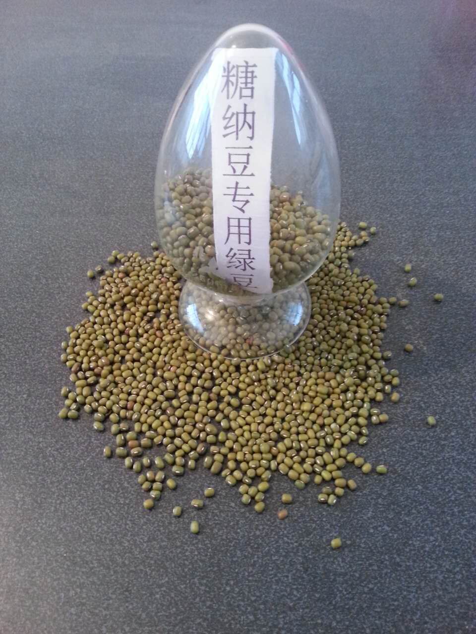 超市专用绿豆价格 廊坊地区哪里有卖优质糖  糖纳豆专用绿豆  精选绿豆  绿豆批发厂家