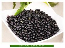具有口碑的豆豉专用黑豆直销批发——豆豉用  黑豆批发价格  黑豆生产厂家
