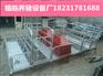 自动化养猪设备介绍