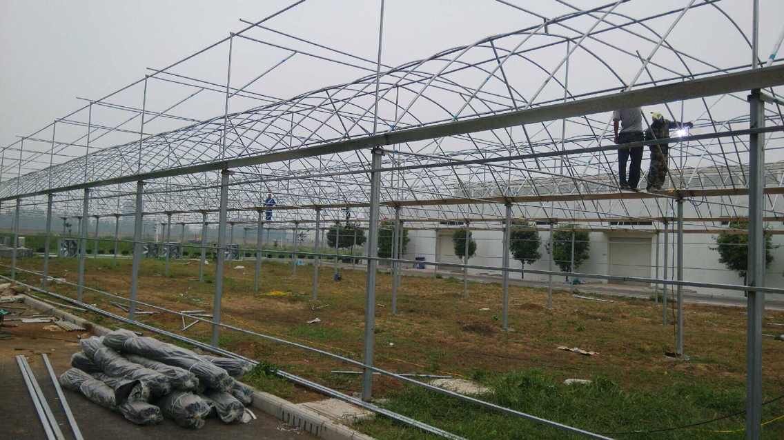 建温室大棚要多少钱-山东生态温室大棚&nbsp;&nbsp;温室大棚建造&nbsp;&nbsp;温室大棚建设