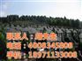 新洲陵园_天堂思源_流芳陵园