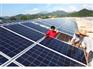 福建实用的分布式电站哪里有卖-南平光伏组