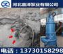 潜水吸沙泵NSQ25-12-3、贵州潜水
