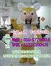 浙江杭州卡通人偶服装制作厂家,动漫吉祥物