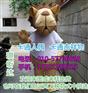 浙江杭州卡通人偶服装制作什么价,舞台演出道具