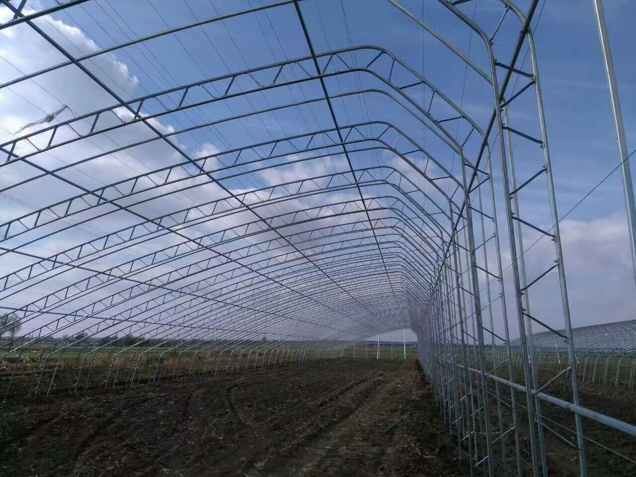 日光温室大棚骨架的供应厂家在哪里&nbsp;&nbsp;日光大棚&nbsp;&nbsp;土墙日光温室