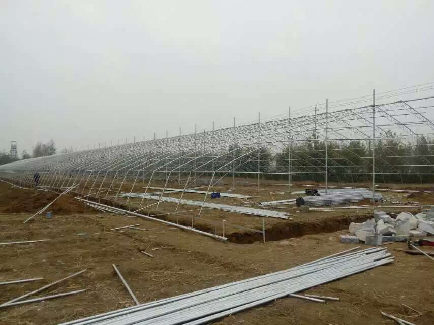 日光温室大棚骨架的供应厂家在哪里&nbsp;&nbsp;日光大棚&nbsp;&nbsp;土墙日光温室