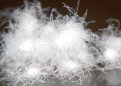 河南规模大的羽绒棉供应商-郑州羽绒棉价格  羽绒棉批发