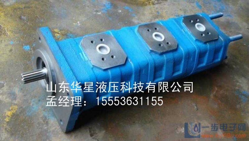 潍坊高品质齿轮油泵批售_黑龙江齿轮油泵 齿轮油泵厂家 齿轮油泵批发
