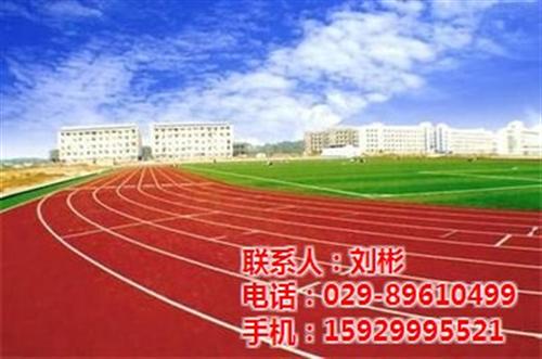 咸阳塑胶跑道、塑胶跑道、陕西卫星体育(图  宝鸡塑胶跑道  塑胶跑道施工