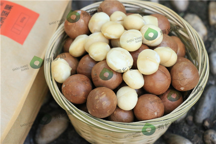 广西澳洲坚果，寿乡香供应划算的夏威夷果  夏威夷果批发  夏威夷坚果