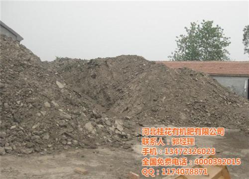 羊粪有机肥批发_益阳羊粪有机肥_桂花有机  羊粪有机肥多少钱  羊粪有机肥厂家  羊粪有机肥销售点