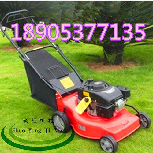 可靠省油的割草机 手推式草坪机 小型草坪机  小型割草机