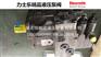 A4VG125EP2D1/32L-NSF52N001EP-S