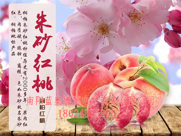 桐柏云商-桐柏-农村电商  厂家价格
