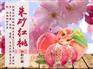 桐柏云商-桐柏-农村电商