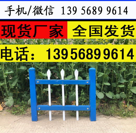 色彩鲜亮安阳市安阳县户外花园防腐竹栅栏
