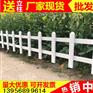 淮南田家庵pvc绿化栅栏