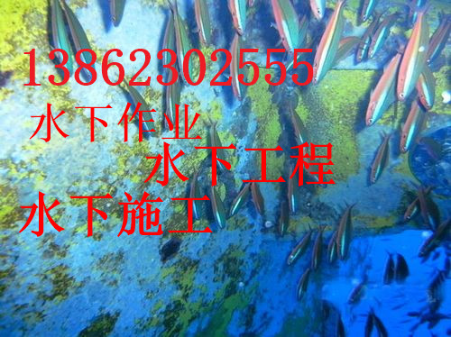 新闻：三亚市沉井带水封底作业公司-欢迎致电