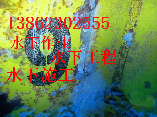 新闻：娄底市码头水下维修加固作业公司-品牌