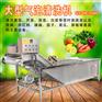 全自动洗水蜜桃西红柿的水果机器