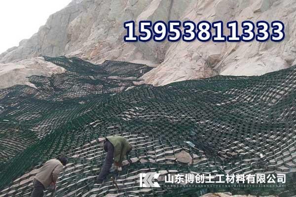 杨凌护坡生态袋，绿色带草种的袋子河道堤坝用的挡土袋  杨凌生态袋  黑色防水薄膜防水  膨润土防水毯