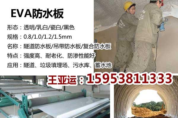 营口护坡生态袋，绿色带草种的袋子河道堤坝用的挡土袋  营口生态袋  防渗土工膜防水毯  膨润土防水毯