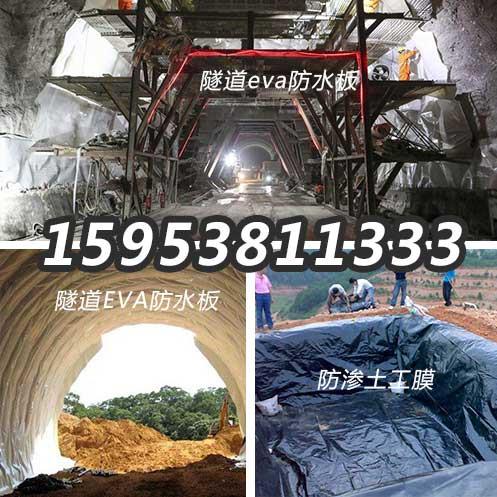 红河护坡生态袋，绿色带草种的袋子河道堤坝用的挡土袋  红河生态袋  护坡生态袋防水毯  膨润土防水毯