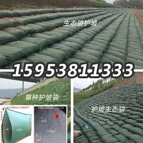 怒江护坡生态袋，绿色带草种的袋子河道堤坝用的挡土袋  怒江生态袋  护坡生态袋防水毯  膨润土防水毯