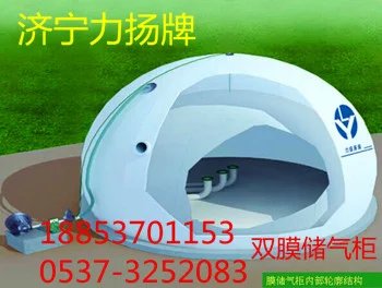 山东力扬双膜储气柜 膜式气柜生产商