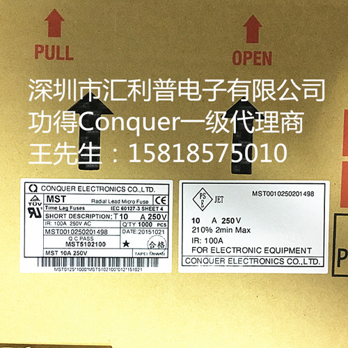 conquer功得保险丝MST80mA250V塑胶方形慢熔断  MST0.08/CQ