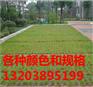 植草砖什么样的好——驻马店植草砖报价