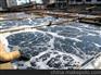东莞麻涌零星废水处理回收