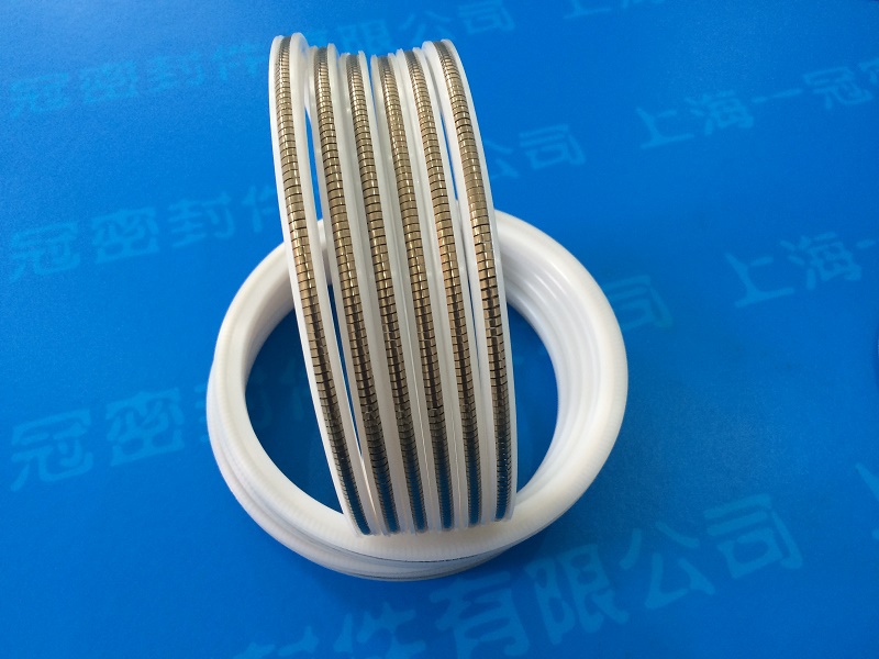 端面弹簧密封圈 端面泛塞封 旋转轴用泛塞封 装卸臂密封圈  装卸臂密封件  日本大金密封圈