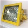 LED防爆投光灯 40w50w60wLED防爆灯