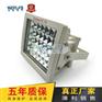 供应SW8131-50W-220VLED防爆投光灯