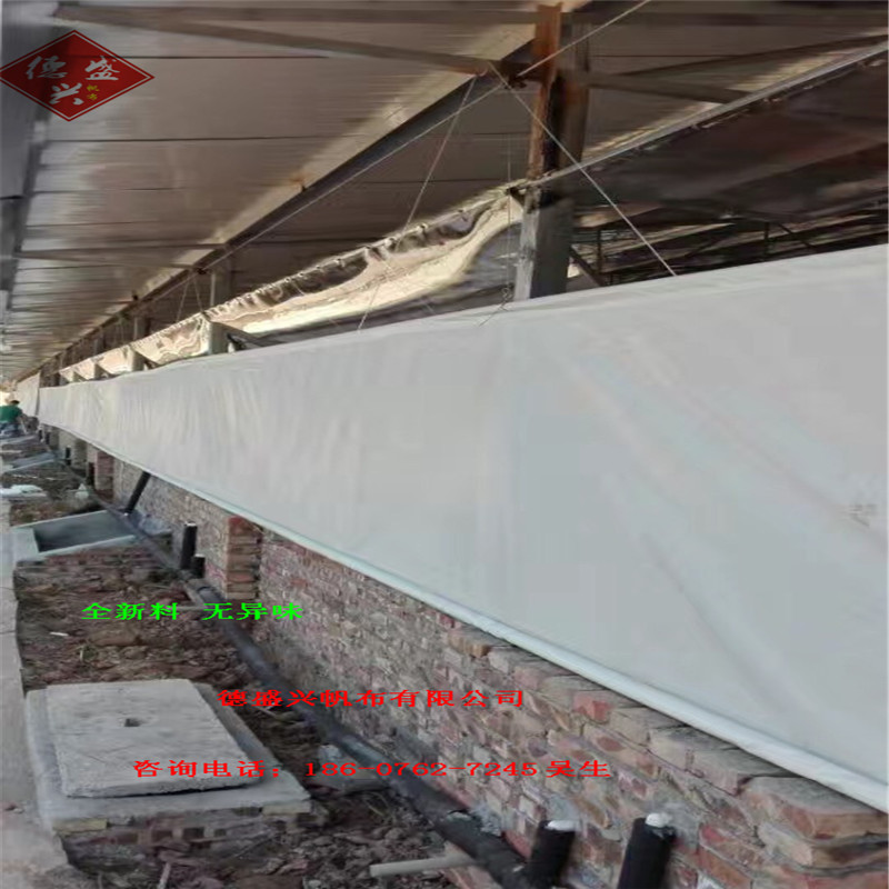 全新料猪场 透光卷帘布 猪舍篷布保温膜 养殖帆布定做  猪场卷帘布  牛场卷帘布  羊场卷帘布