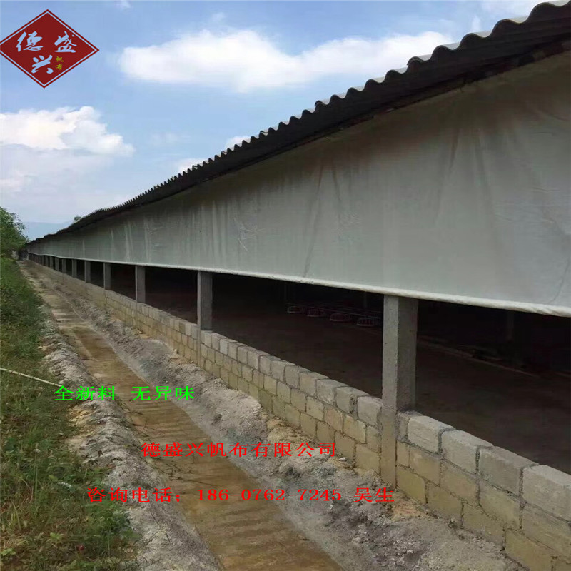 全新料猪场 透光卷帘布 猪舍篷布保温膜 养殖帆布定做  猪场卷帘布  牛场卷帘布  羊场卷帘布