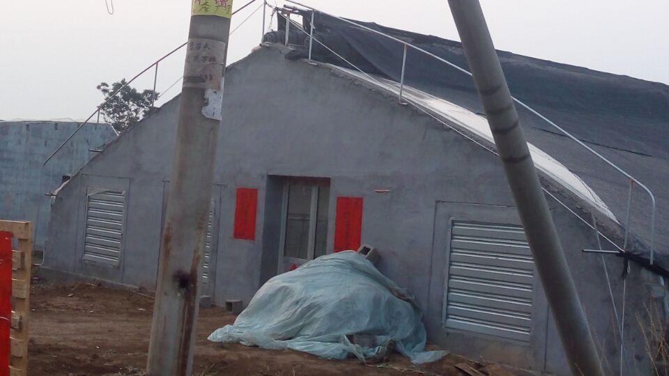日光温室大棚,日光温室,日光温室大棚建设 日光大棚 土墙日光温室 日光温室造价